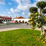 Apartment My Dalmatia - M&n With Shared Pool Galovac (Zadar)