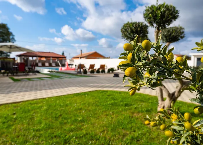 Апартаменты My Dalmatia - M&n With Shared Pool Galovac (Zadar)